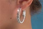 Rhinestone Earrings - Two Row Hoop