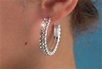 Rhinestone Earring Two Row Hoop